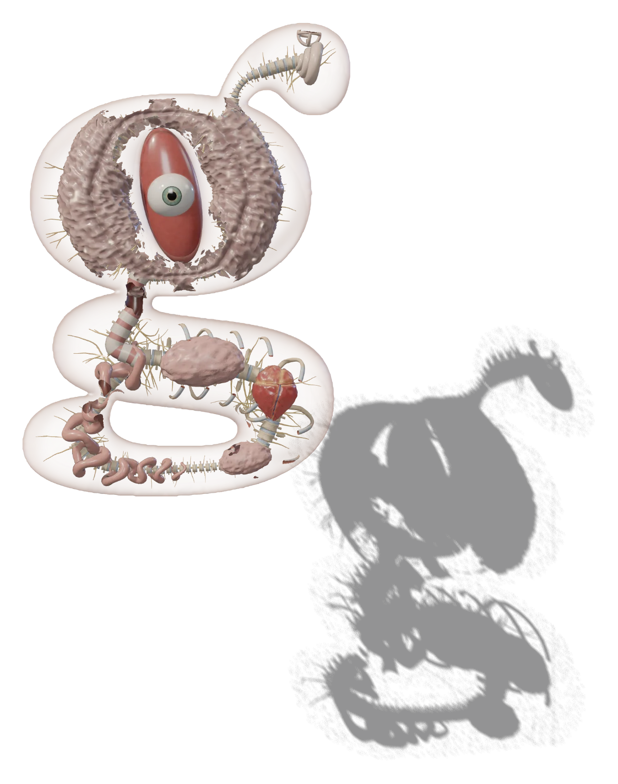 Nerves and spinal cord